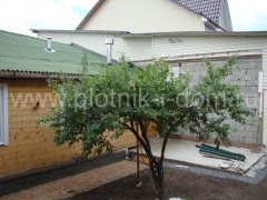 dsc07072